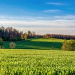 countryside